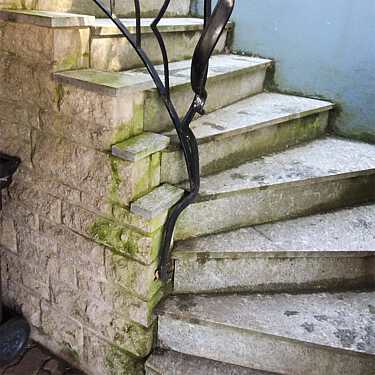 Grünbelag-Entferner 1000ml