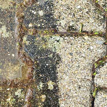 MFG E-30 Spezialreiniger1 MFG E-30 Spezialreiniger